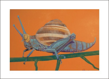 Az utolsó előtti evolúciós gubanc